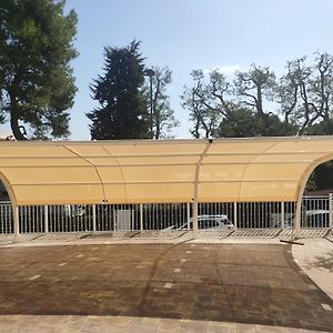 B&B Vivere il Mare